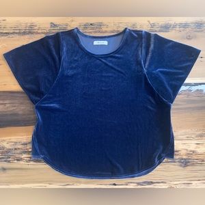 Madewell Navy Velour Blouse